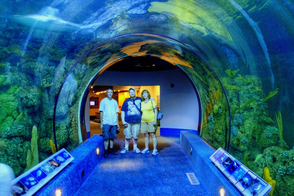Galveston Attractions Activities Things To Do Sterling Realtors Thrill Attractions In Galveston