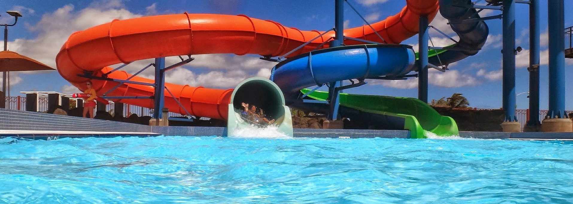 Galveston Attractions Activities Things To Do Sterling Realtors Palm Beach At Moody Gardens